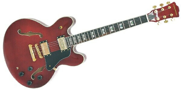 楽天市場】PLAYTECH プレイテック/エレキギター/LP-500 PREMIUM F-Hole