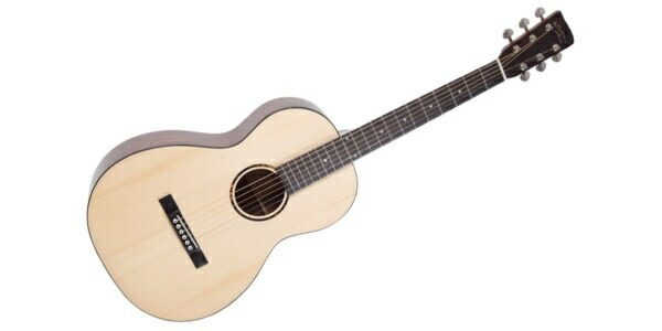 楽天市場】RECORDING KING（レコーディングキング） アコースティック