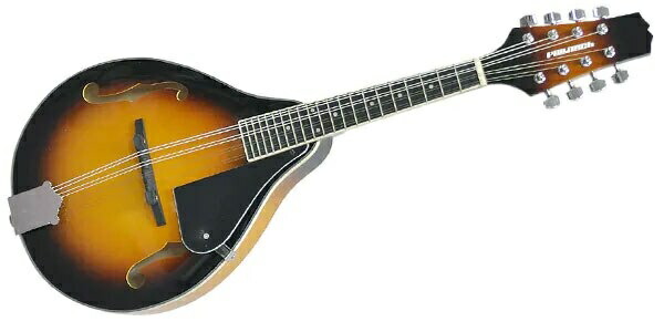 楽天市場】PLAYTECH ( プレイテック ) / PFM10A フラットマンドリン