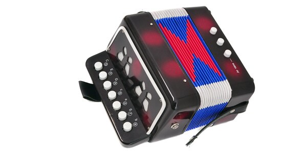 楽天市場】PLAYTECH（プレイテック） アコーディオン PCT300