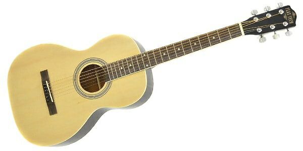 楽天市場】PLAYTECH（プレイテック） エレアコ ギター RG10