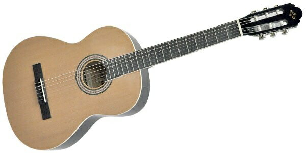 PLAYTEC EC800 エレガットギター ソリッドボディー 楽天市場】PLAYTECH（プレイテック） エレクトリック・ガットギター