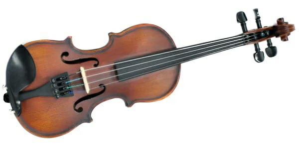 プレイテック　PVN544 アウトフィット・ヴァイオリンセット 4/4 サイズ PLAYTECH ( プレイテック ) PVN544 アウトフィットバイオリンセット 4