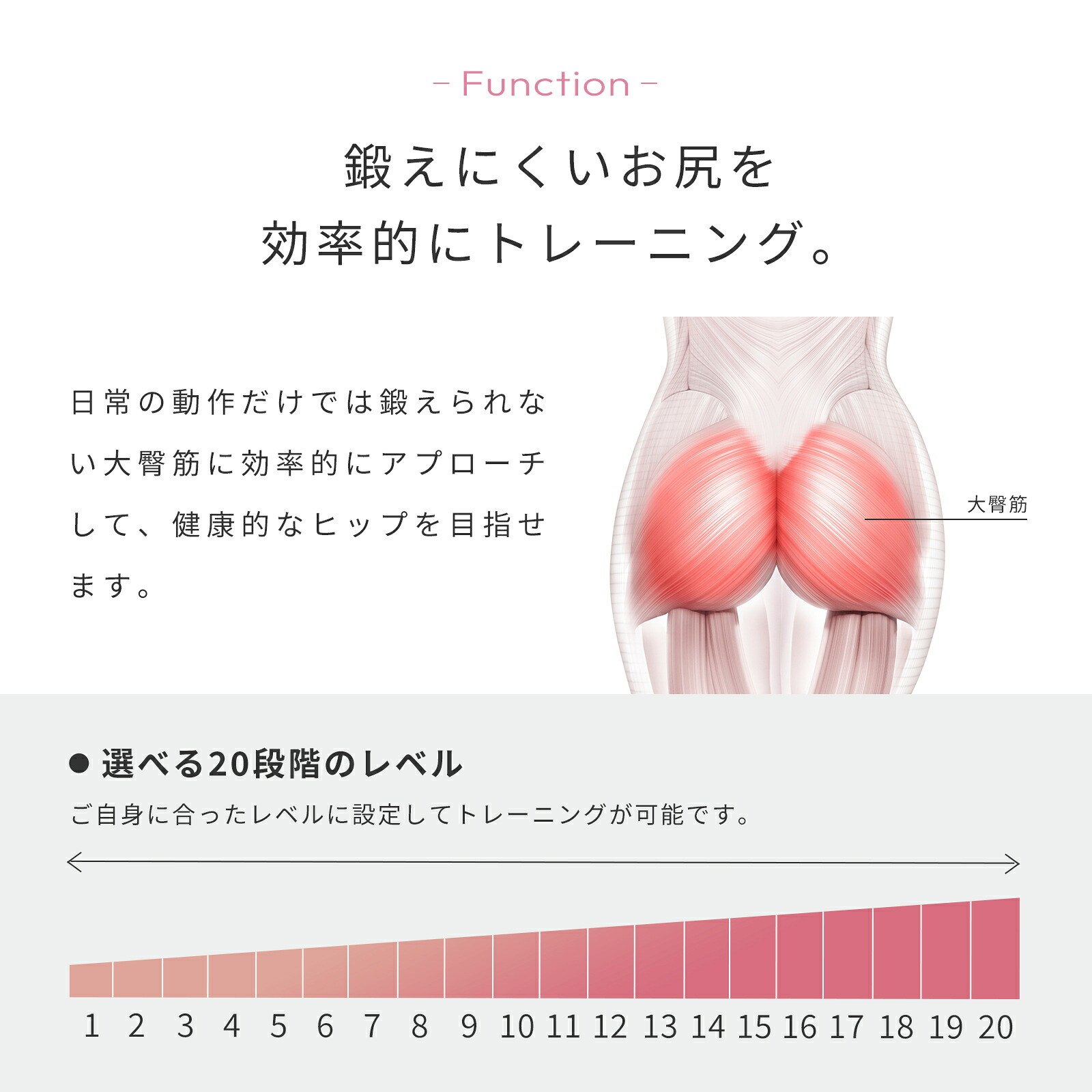 シックスパッド ヒップフィット 専用コントローラー付 SIXPAD Hip Fit 