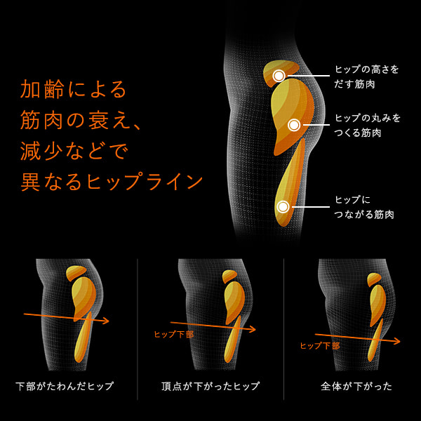 ボトムベルト シックスパッド | tspea.org