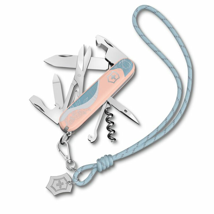 楽天市場】【国内正規品】 ビクトリノックス VICTORINOX サイバー