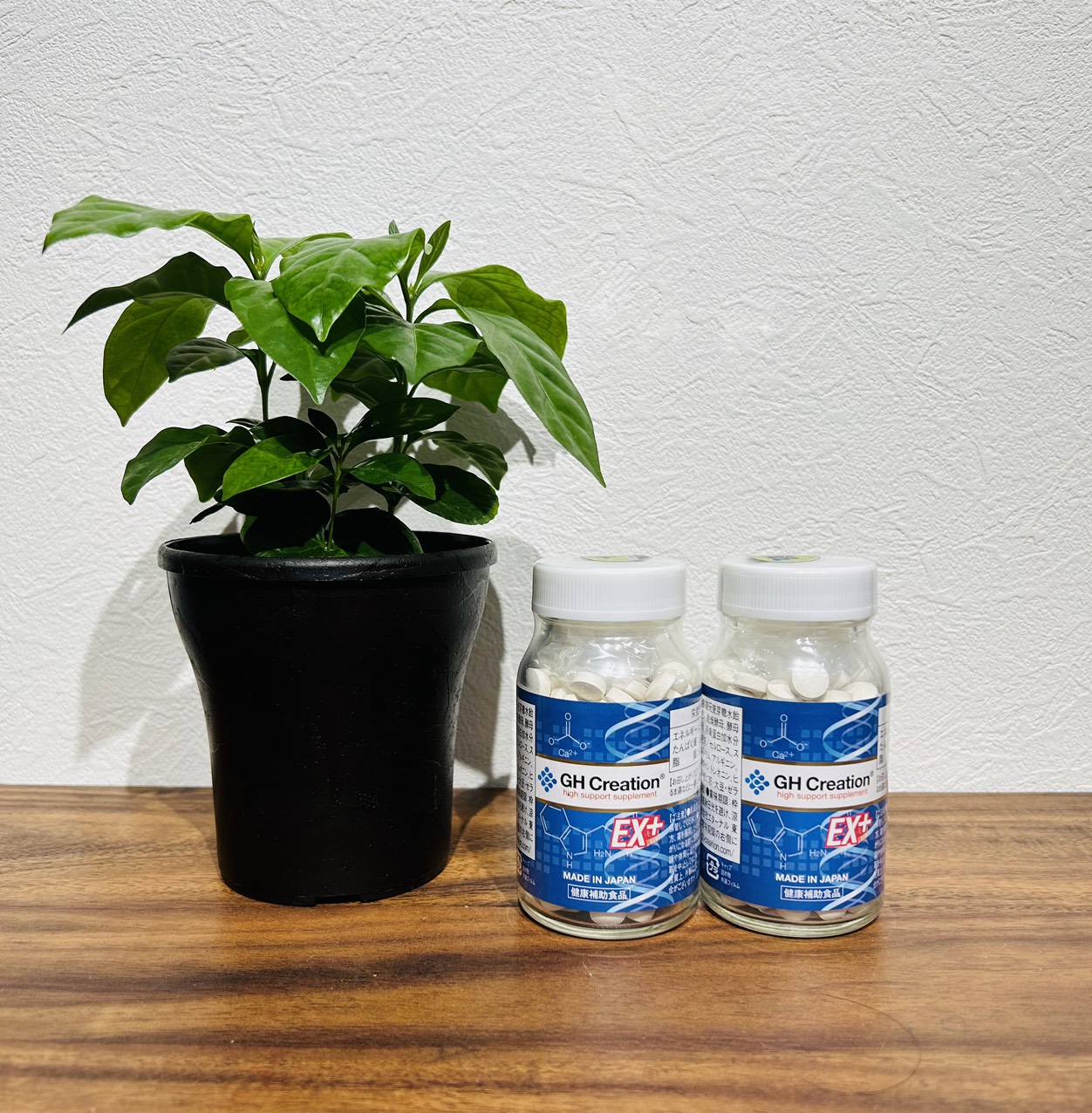 Aぇ 専用出品 ◇GH Creation（ジーエイチクリエーション）EXプラス 270粒:サン