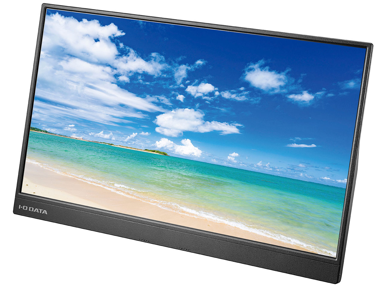 IODATA パソコン管する・液晶見せびらかす LCD-CF161XDB-M [15.6in 黒いこと] 【送りとどけるカテゴリー化A】
