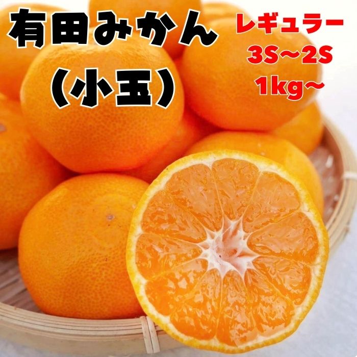 楽天市場】温州みかん 小粒 SS(2S)サイズ 10kg 和歌山産 送料無料 濃厚