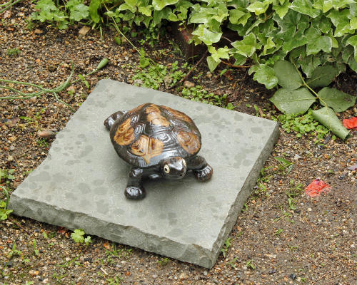 楽天市場】緑カメ 亀 子亀 かめ みどり 置物 彫刻品 turtle-M 置物