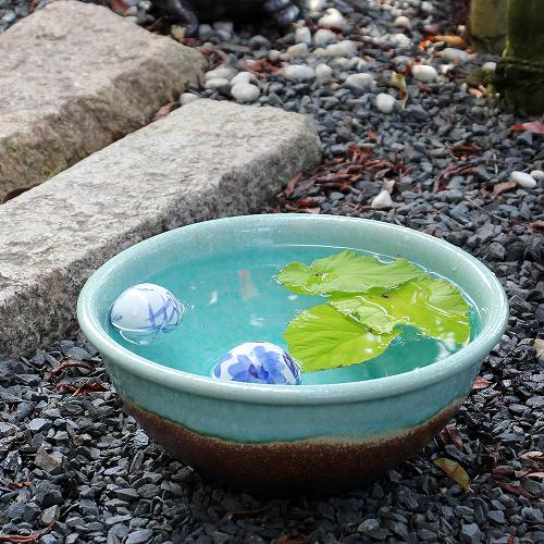 楽天市場】信楽焼 睡蓮鉢 ライトグリーン 10号 30cm位 睡蓮鉢 信楽焼