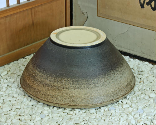ポイント10倍 信楽焼 睡蓮鉢 コゲ釉窯肌 17号 陶器 メダカ鉢 おしゃれ めだか 鉢 金魚鉢 大型 特大 水鉢 めだか鉢 メダカ ハス鉢 水連鉢 スイレン 睡蓮 水槽 ビオトープ 信楽焼き 焼き物 Ma077 03g Drdanacarson Org