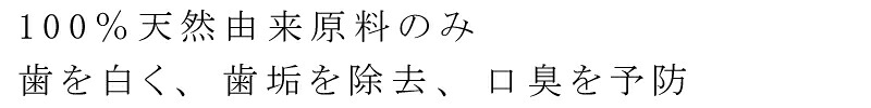 歯磨き粉 無添加 デイヴィッズ ホワイトニングトゥースペースト 購入金額別特典あり 正規品 オーガニックナチュラル 天然 歯みがき 塩 天然 ナチュラル ノンケミカル 自然 DAVIDS