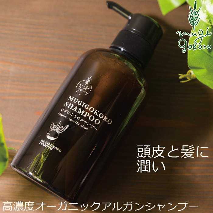 楽天市場】スタイリング剤 無添加 ロゴナ（LOGONA） メンズ・スタイリングジェル 100ml 購入金額別特典あり 正規品 オーガニック ヘアケア  スタイリング メンズ 男性用 ノンケミカル 自然 スタイリングジェル : オーガニック 健康生活 むぎごころ