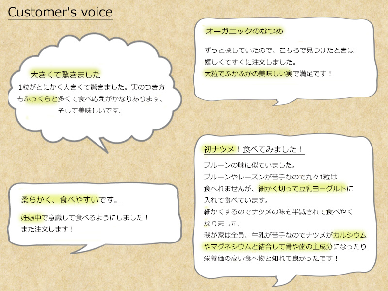 保存版】 なつめ 無農薬 無添加 むぎごころのオーガニック和田玉なつめ 500g 購入金額別特典あり オーガニック ナチュラル 自然 天然  ドライフルーツ 薬膳 送料無料 tsujide.co.jp