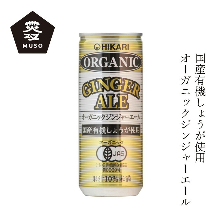 箱無し　レモンボトル　15本セット ケース販売】強炭酸水ラベルレス レモン 600ml×24本 | 飲料・水