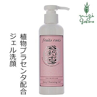洗顔料 無添加 フルーツルーツ 5Fruits Line ジューシークレンジングジェル for ノーマルドライ 200ml 購入金額別特典あり オーガニック 送料無料 正規品 天然 ナチュラル ノンケミカル fruits roots