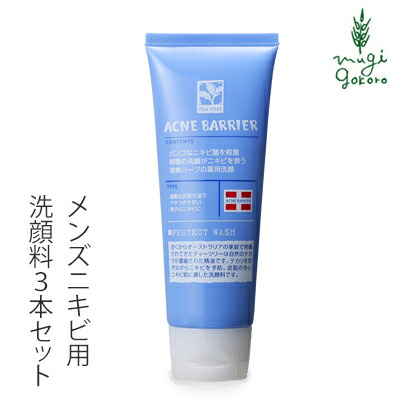 楽天市場 薬用 ニキビ ケア 洗顔 メンズ レディース 無添加 洗顔フォーム 大人 ニキビ 吹き出物 毛穴 洗顔料 あご おでこ アクネ 対策 スキンケア 敏感肌 乾燥肌 ヒアルロン酸 グリチルリチン酸 配合 100g 鶴西オンラインショップ