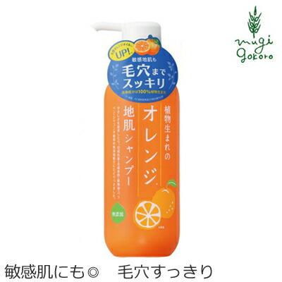 シャンプー ノンシリコン 植物生まれ（オレンジ） 植物生まれのオレンジ地肌シャンプーN 400ml 購入金額別特典あり 正規品 オーガニック 無添加 石澤研究所 ヘアケア 天然 ナチュラル ノンケミカル 自然 頭皮ケア