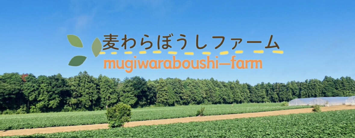 �����ܤ����ե����ࡧ��븩�����ĻԻ��Τ��Ĥޤ���򰷤�����åפǤ���