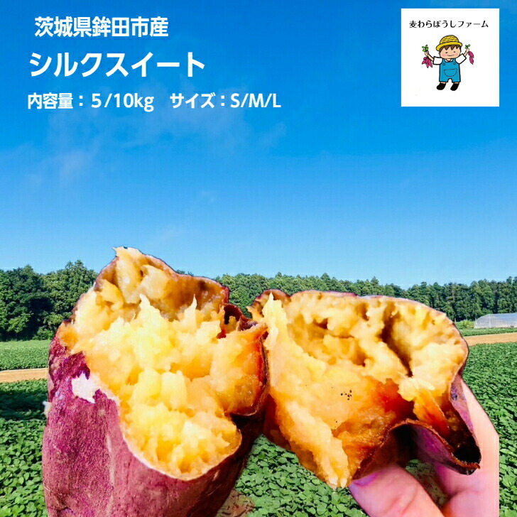 茨城県産シルクスイートL40キロ　YU品 秀品】シルクスイート さつまいも 約2.5kg S～2L 千葉県・茨城県産