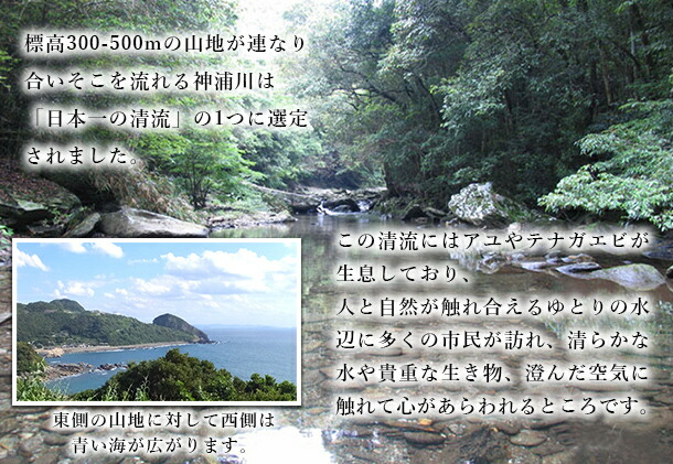 新しい季節 神浦川いも焼酎白麹1800ml 6本 送料無料 100セット限 家のみにも 飲み比べセット Williamsav Com