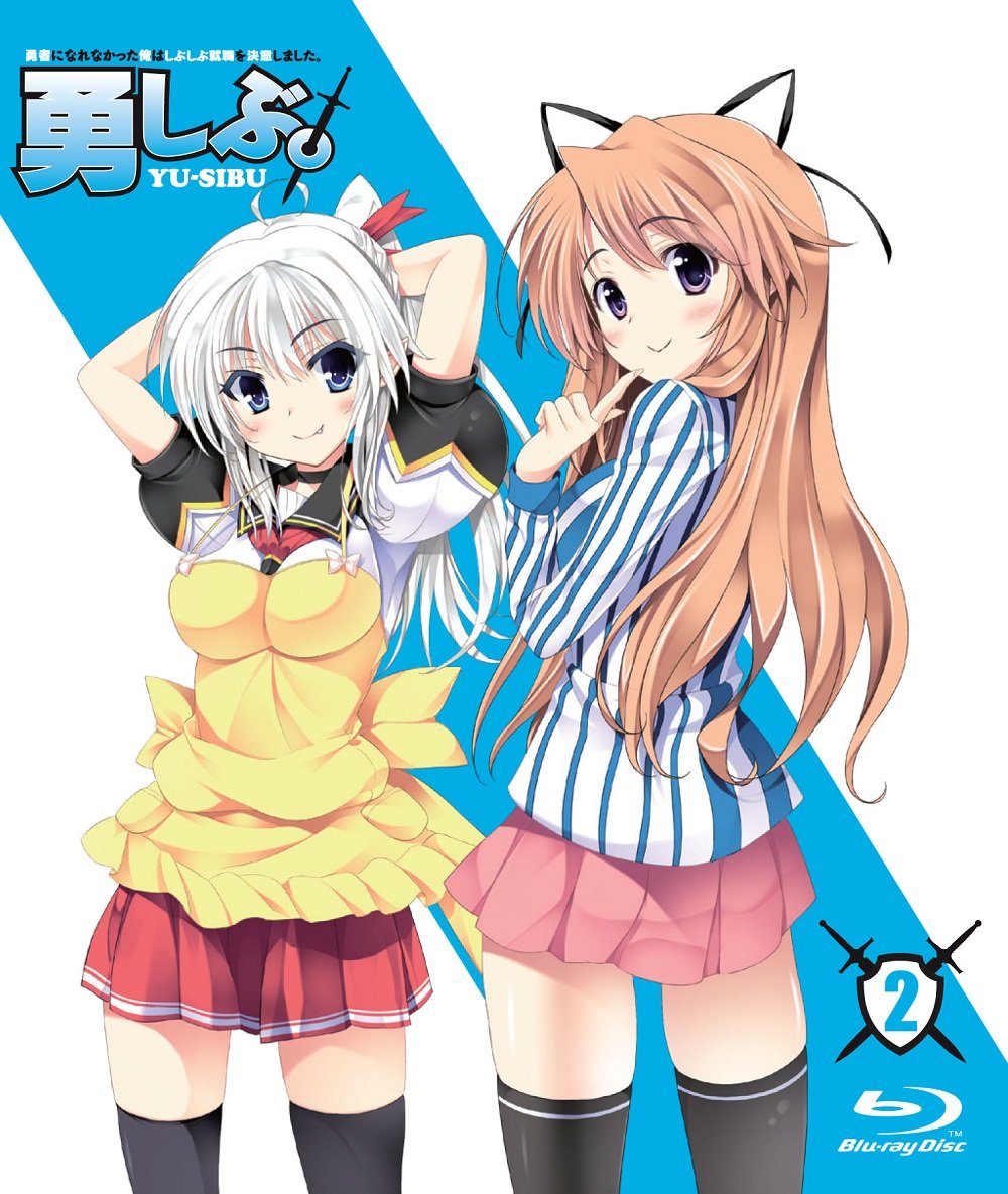 【中古-非常に良い】勇者になれなかった俺はしぶしぶ就職を決意しました。 第2巻 限定版 [Blu-ray]