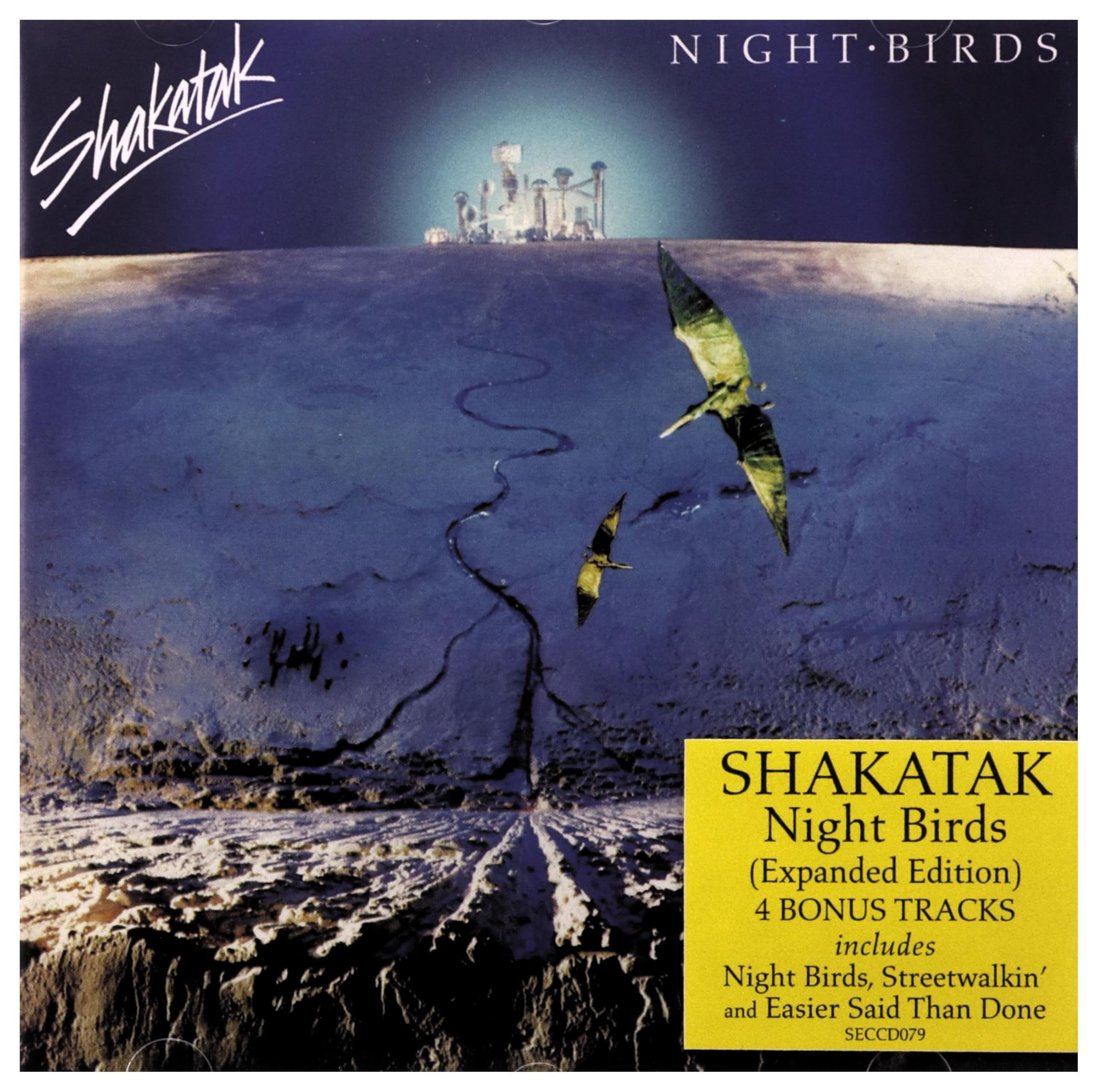【中古-非常に良い】Night Birds｜ムジカ＆フェリーチェ店