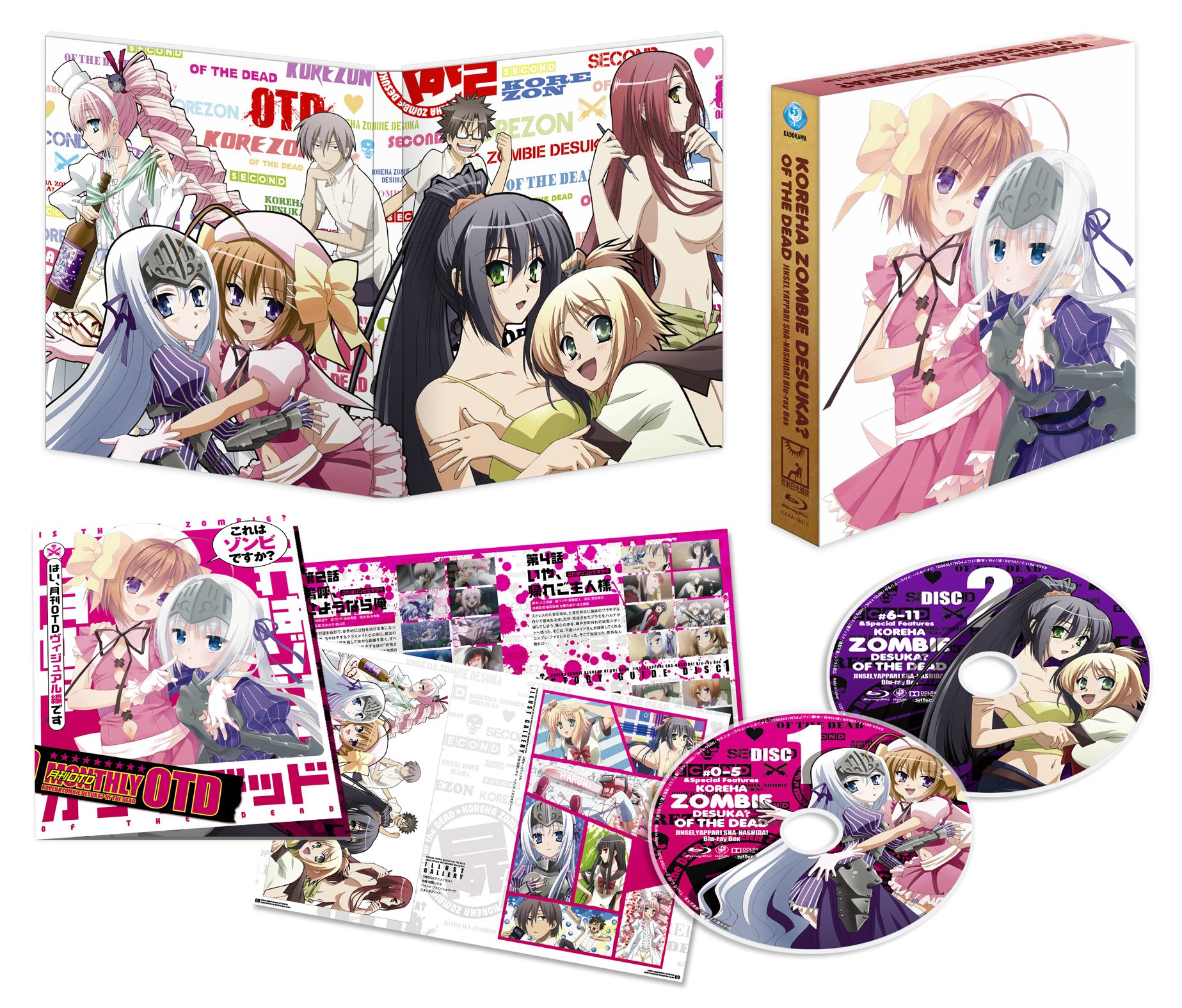 【中古-非常に良い】これはゾンビですか?オブ・ザ・デッド ~人生、やっぱりしゃーなしだ!Blu-ray Box~