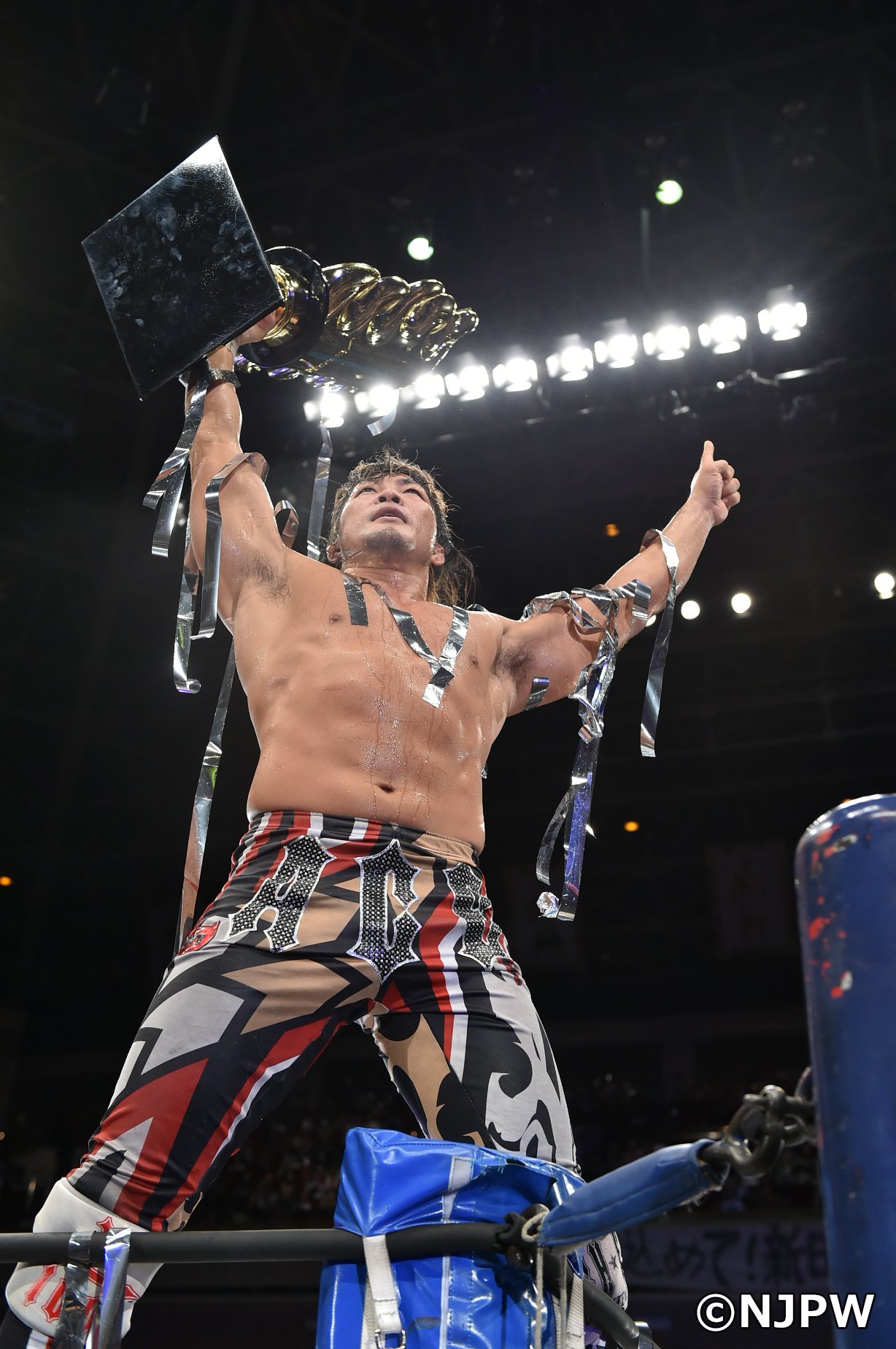 【中古-非常に良い】新日本プロレス2015年総集編 [DVD]