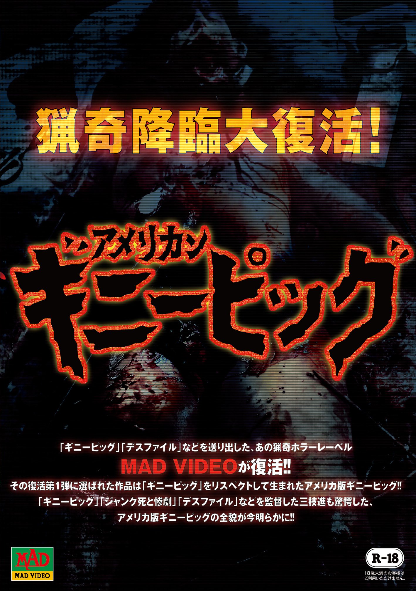【中古】アメリカンギニーピッグ [DVD]｜ムジカ＆フェリーチェ店