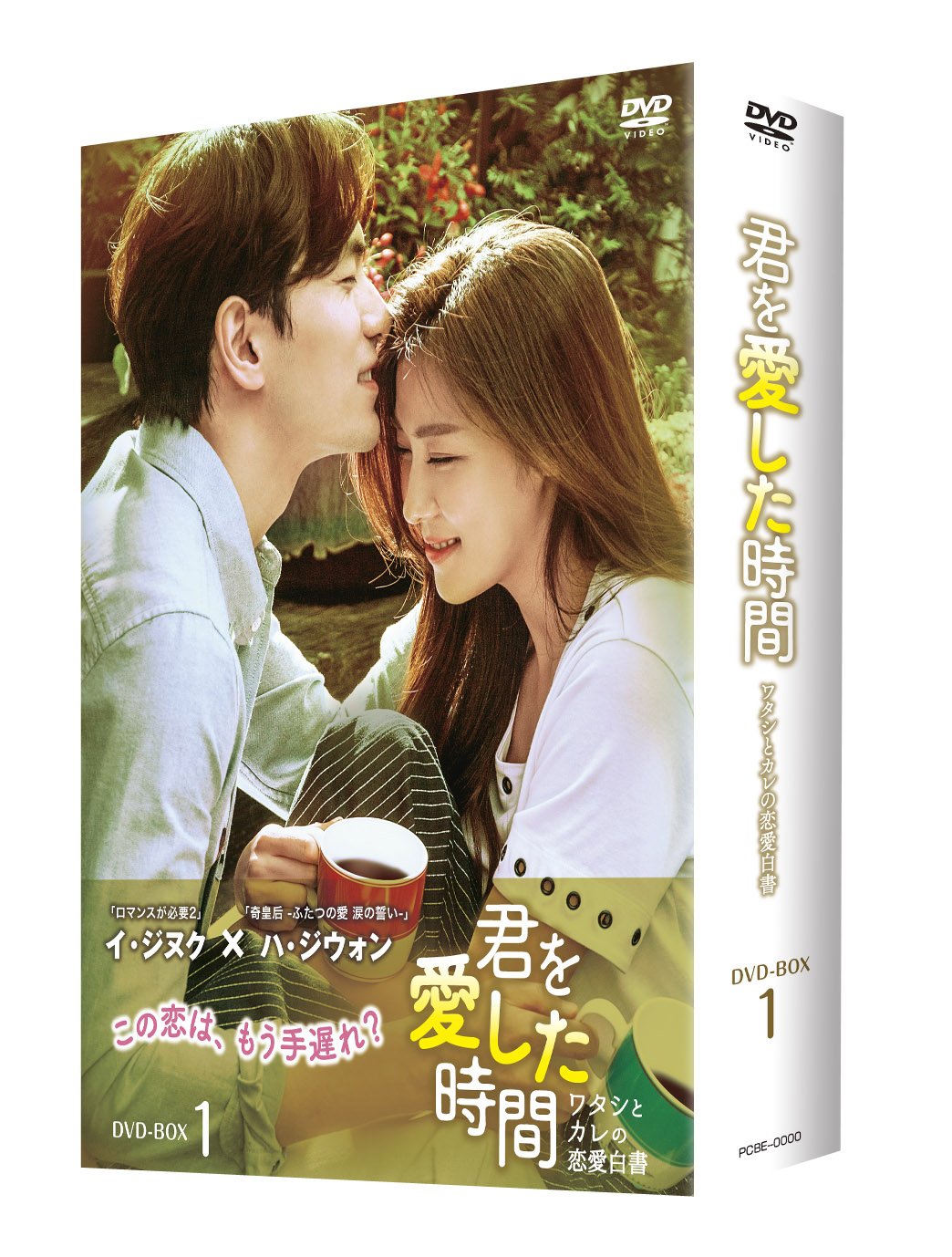 【中古】君を愛した時間~ワタシとカレの恋愛白書 DVD-BOX1