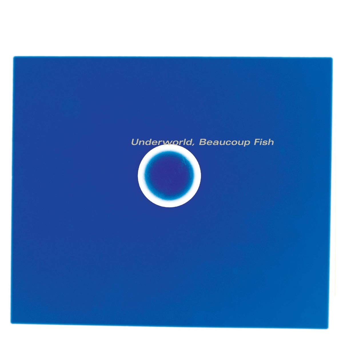 【中古】Beaucoup Fish -Remast-｜ムジカ＆フェリーチェ店