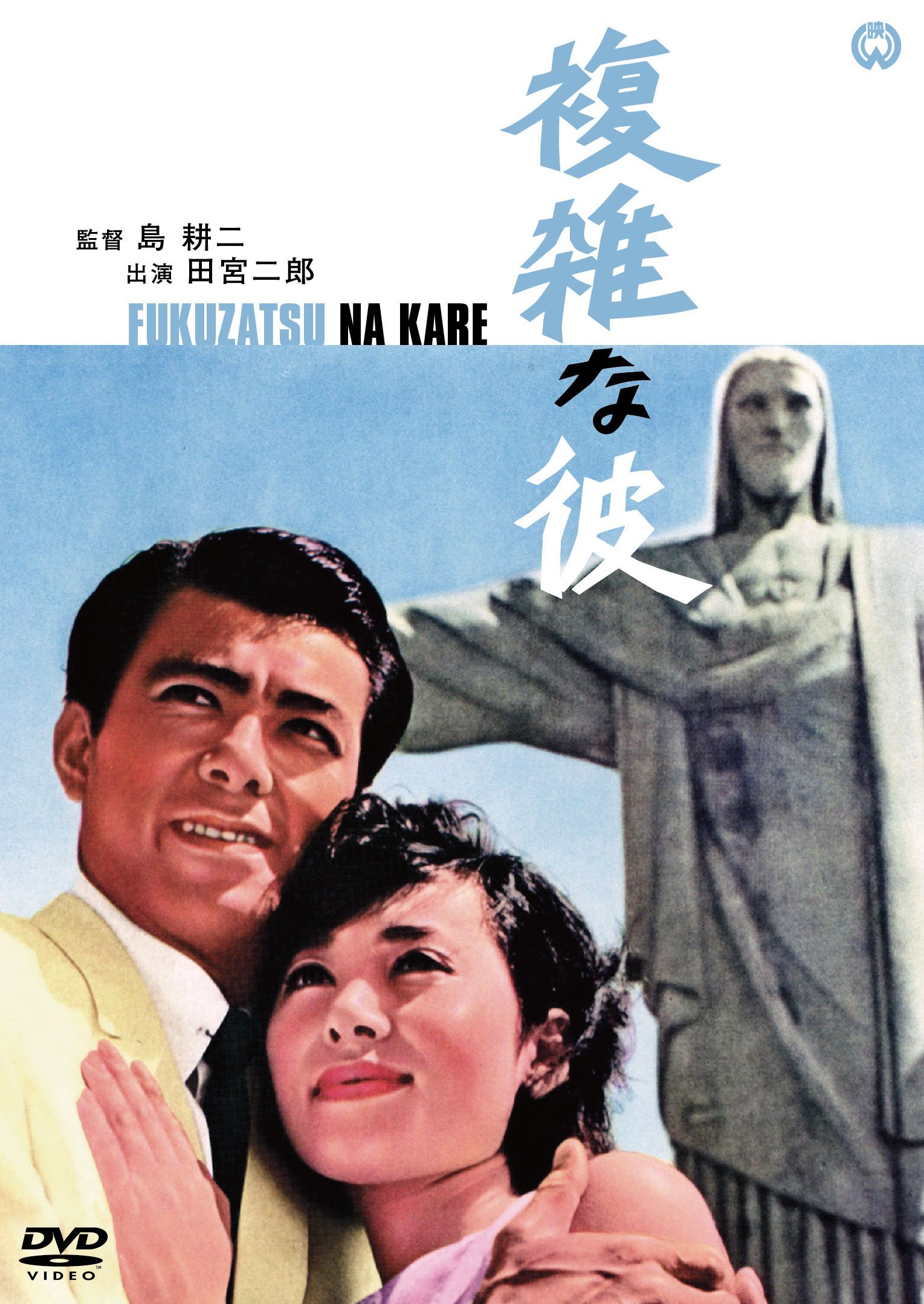 【中古-非常に良い】複雑な彼 [DVD]