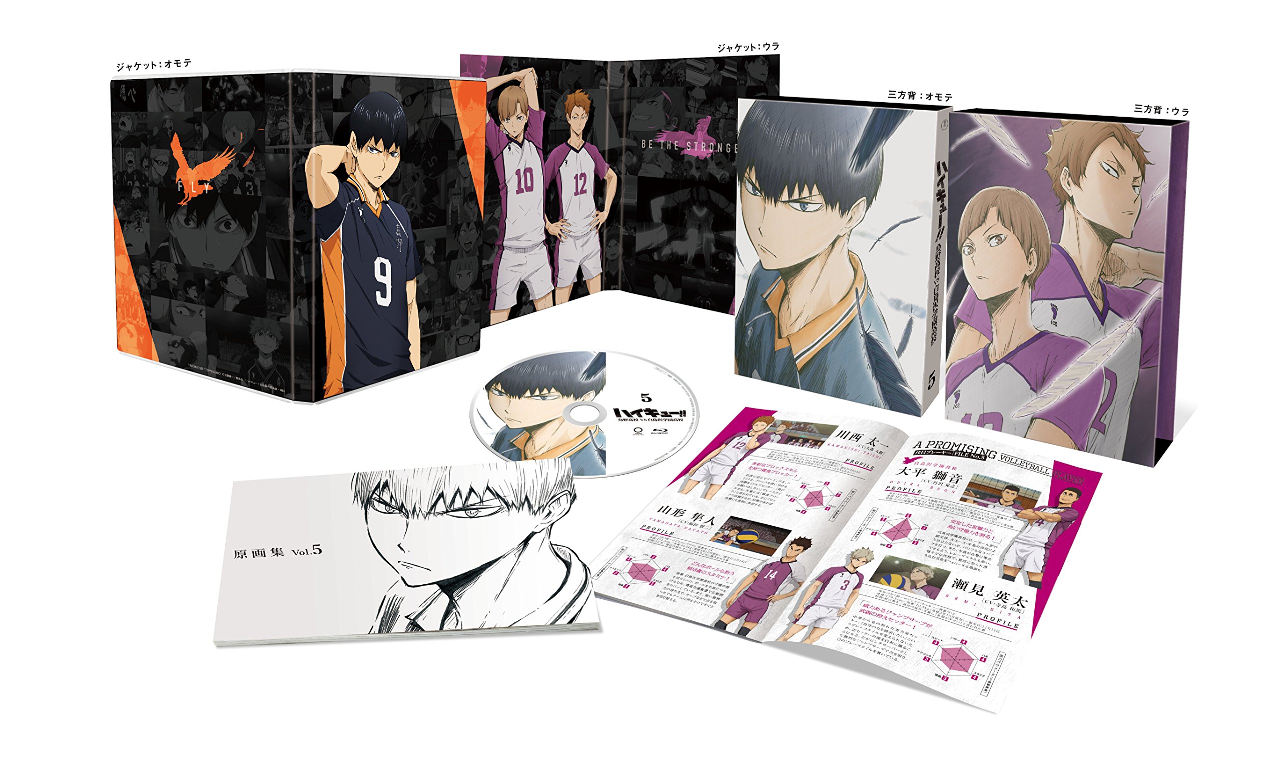 【中古-非常に良い】ハイキュー!! 烏野高校 VS 白鳥沢学園高校 Vol.5(版) [DVD]