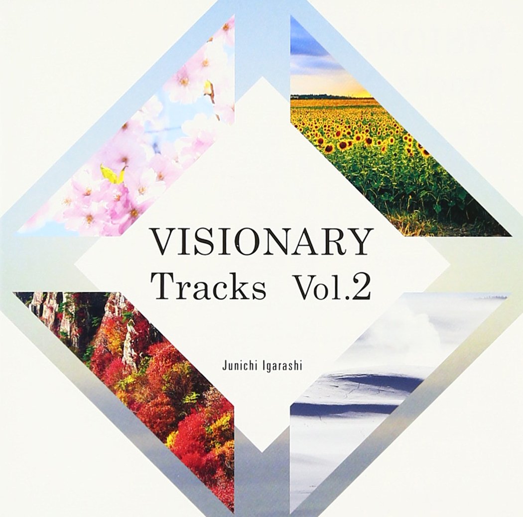 【中古-非常に良い】VISIONARY Tracks Vol.2