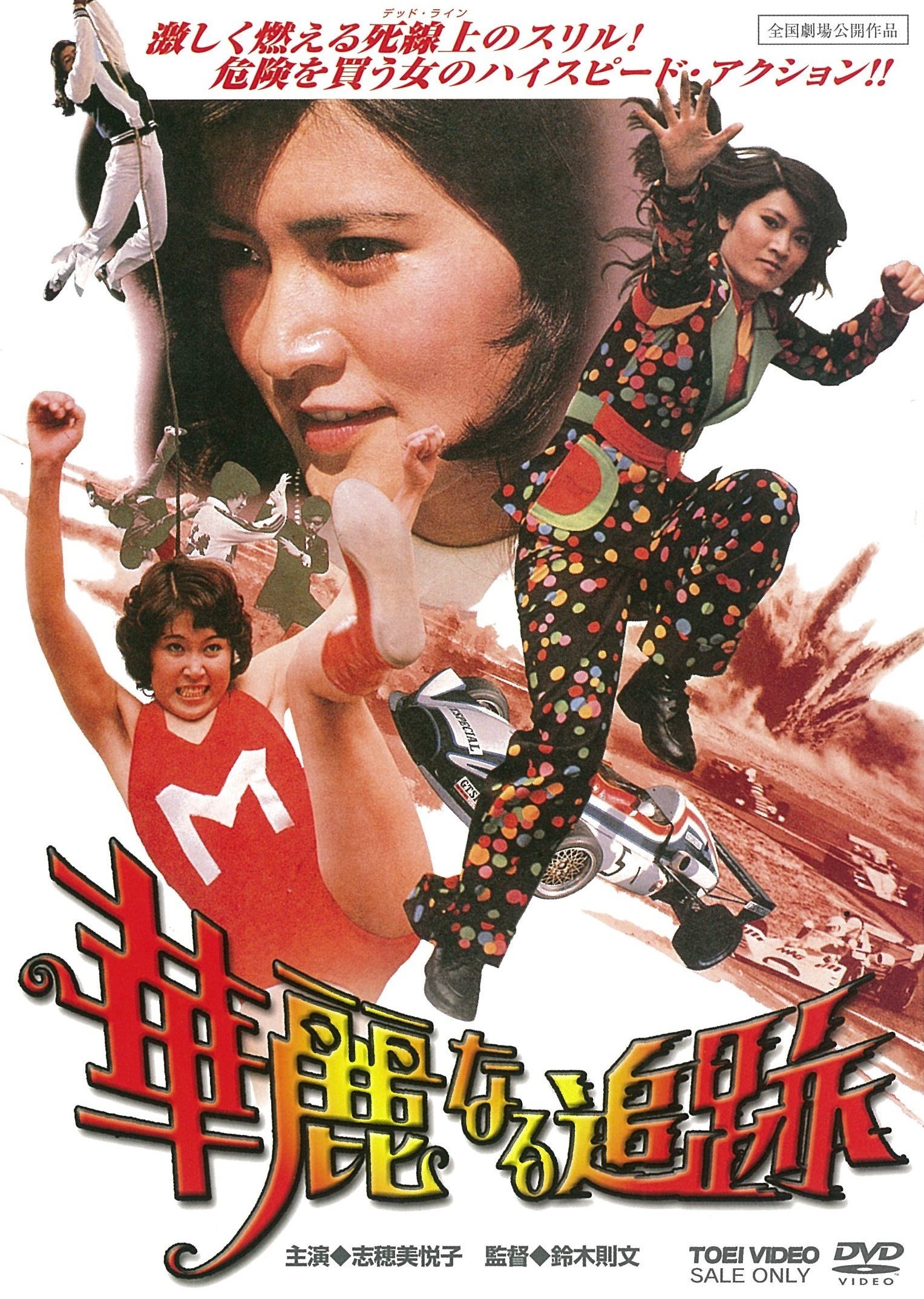 【中古-非常に良い】華麗なる追跡 [DVD]