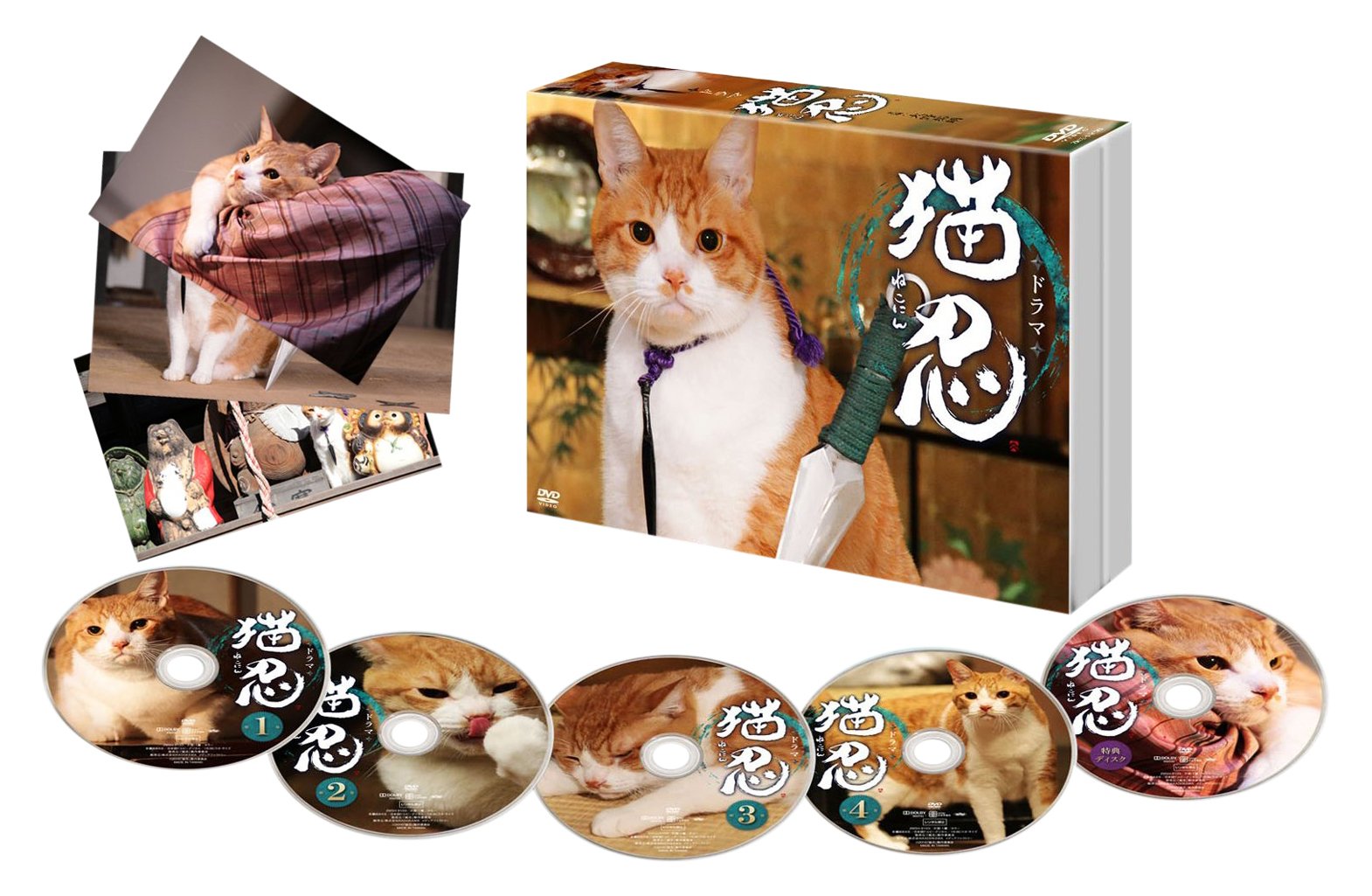 【中古】ドラマ「 猫忍 」DVD-BOX