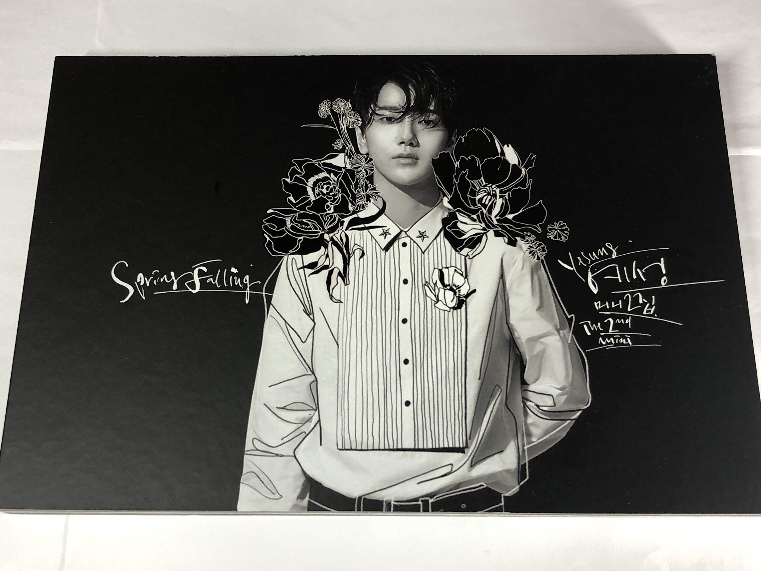 【中古】Spring Falling: Limited Edition|ムジカ&フェリーチェ店