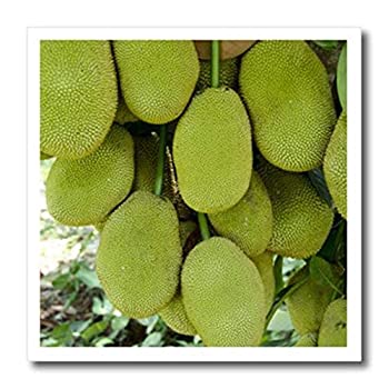 【中古】【輸入品・未使用】3dRose ht_133163_1 ベトナム Cu Chi. Ripe Jack Fruit On Tree-As38 Cmi0550-Cindy Miller Hopkins-アイロン熱転写、8 x 8インチ、白い素材用