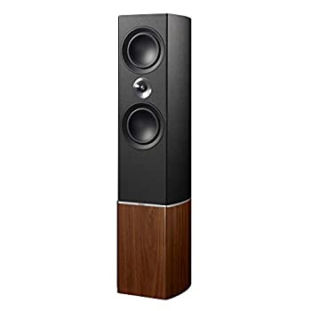 【中古-非常に良い】TANNOY(タンノイ) フロア型スピーカー [1本] 木目調 PLATINUM F6(R)