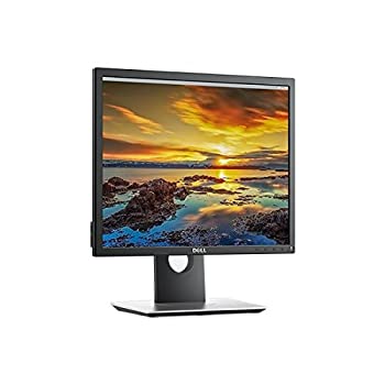 【中古-人並み外れたに好いたらしい】DELL P1917S 職業的つづき物 19in管する(良品先出しお持て成し引き受ける付き添い人)