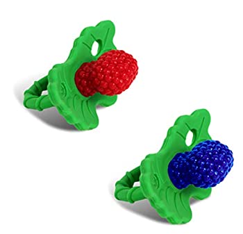 【中古】【インポート品・未当て嵌める】Razbaby Raz-Berry silicone Teethers Double Pack Both Colors インチ One Package. by Razbaby [並行輸入品]