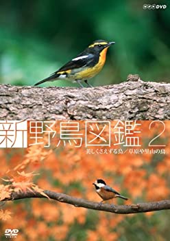 【未使用】【中古】 新 野鳥図鑑 第2集 美しくさえずる鳥/草原や里山の鳥 [DVD]