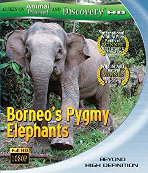 【未使用】【中古】 Borneos Pygmy Elephants [Blu-ray] [輸入盤]