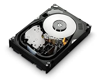 【中古-人並み外れたに好いたらしい】 HGSTジャパン HUS156060VLS600