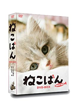 【未使用】【中古】 連続テレビドラマ ねこばん DVD-BOX