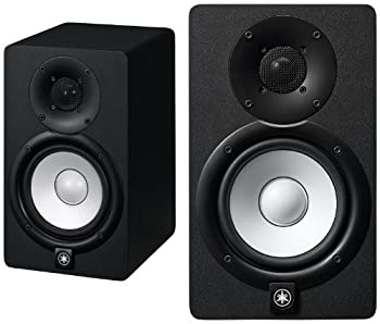 【中古-人並み外れたに好いたらしい】 YAMAHA ヤマハ HS5 管する金棒引き (ありの実)