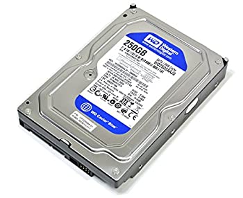 【中古】 Western Digital WD2500AAJS SATA3.5インチ 250GB 7200rpmタイプ|ムジカ&フェリーチェ店