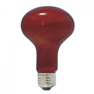 【未使用】【中古】 旭光 耐熱透明カラー球 (内面フロストタイプ) R100 110V100W 口金 E26 レッドフロスト R100 E26 110V-100W (RT)